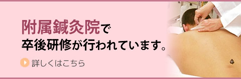 附属鍼灸院で卒後研修